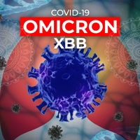 COVID-19 Omikron XBB variáns
